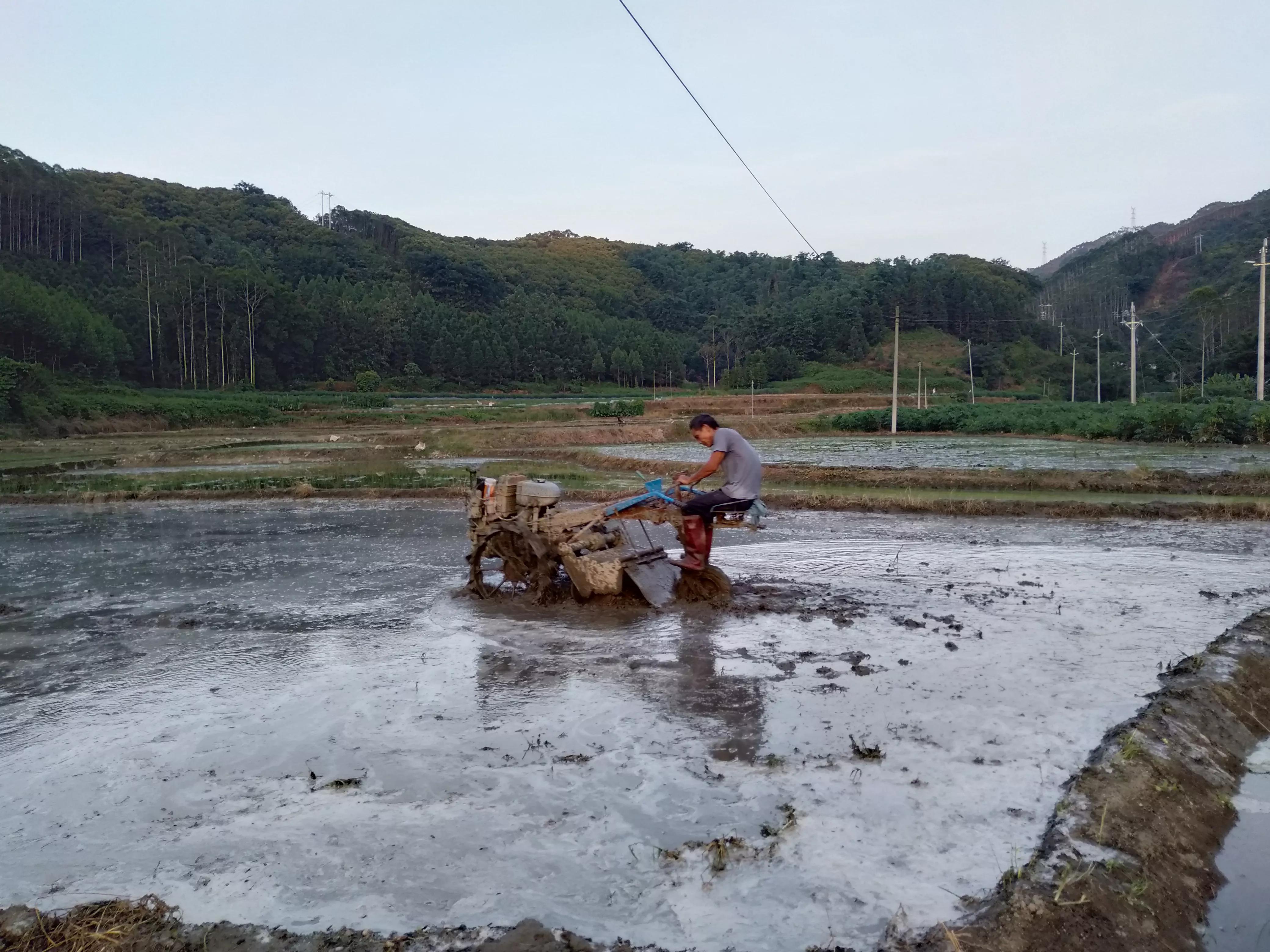 被寄予厚望的微耕机是如何被农民当烂铁卖掉的呢