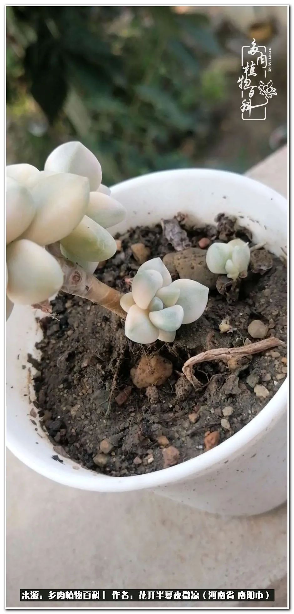 万事开头难只要坚持才有收获,万事开头难只要肯干就会有结果