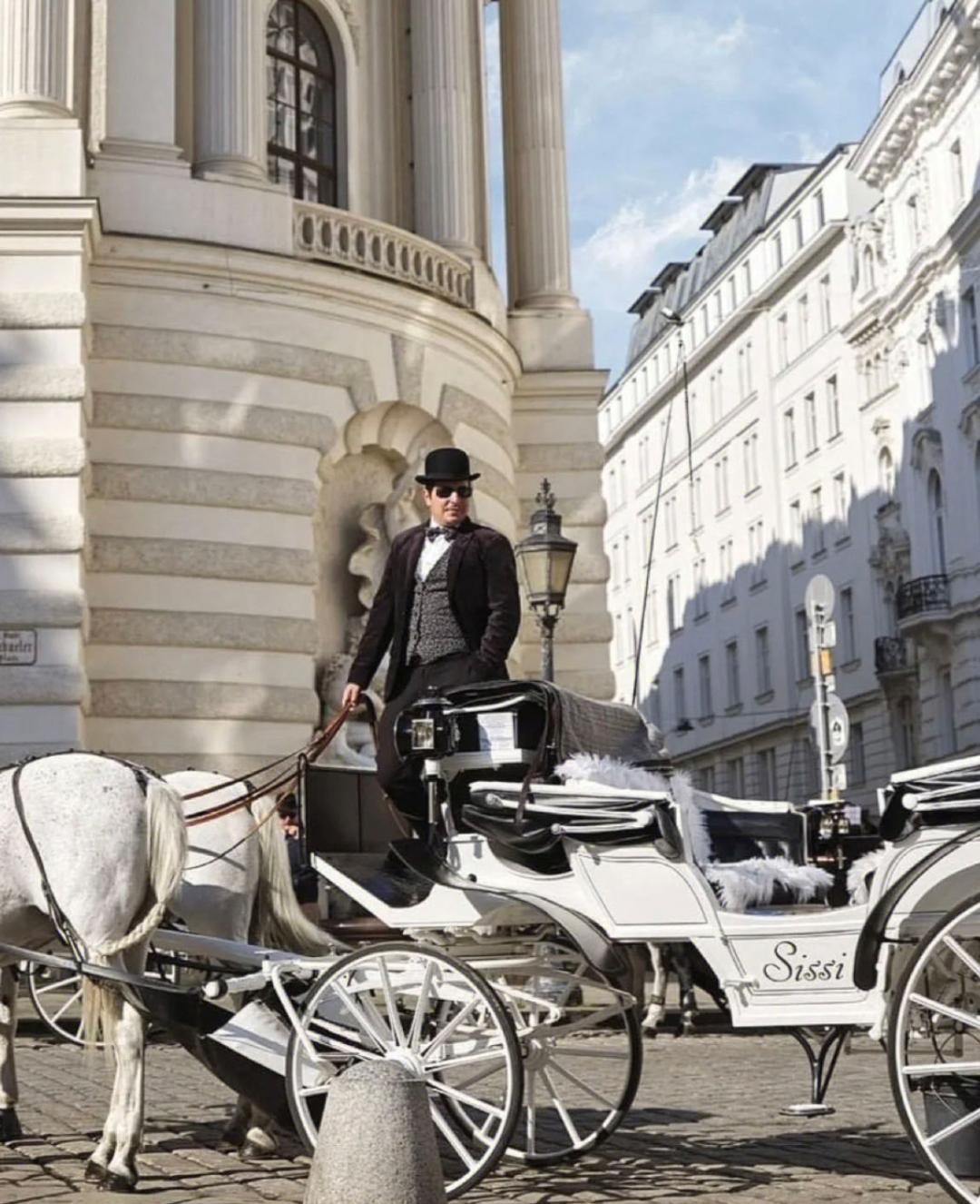 音乐之都的雅居府邸-维也纳酒店