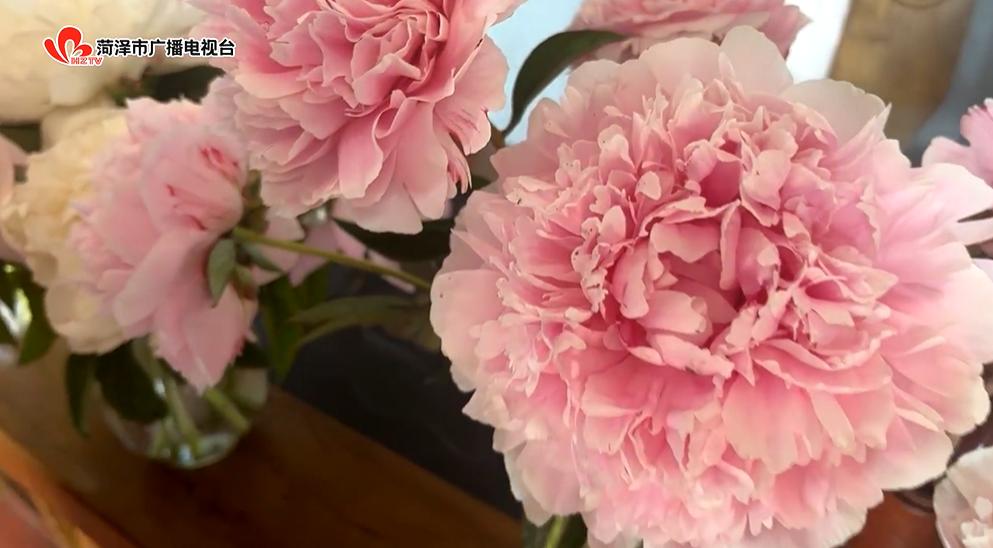 鲜花去哪了？带您在花尽处，又见“花开”