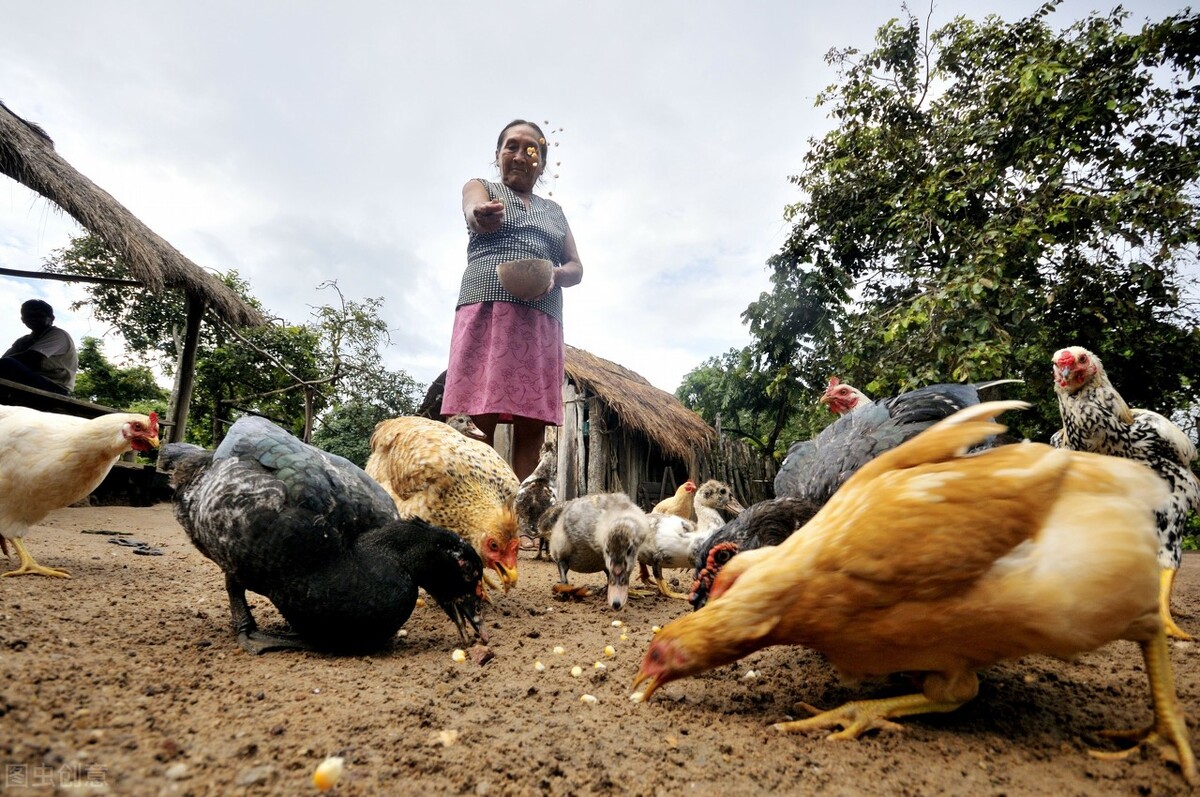 蚂蟥被人吃进去会如何,误食蚂蟥多久会有反应
