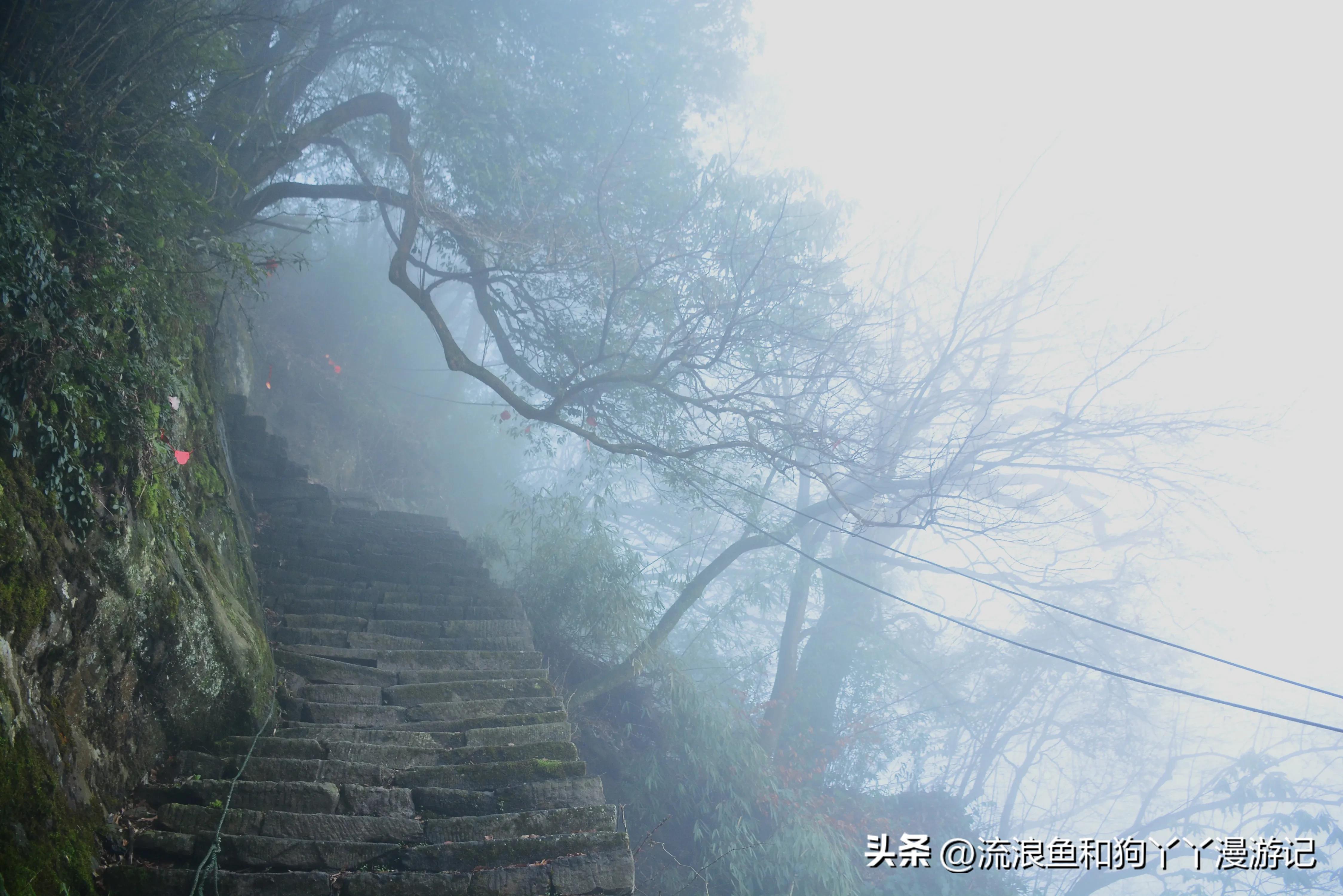 四月份成都近郊一日游好去处,2022成都近郊看雪一日游最佳去处