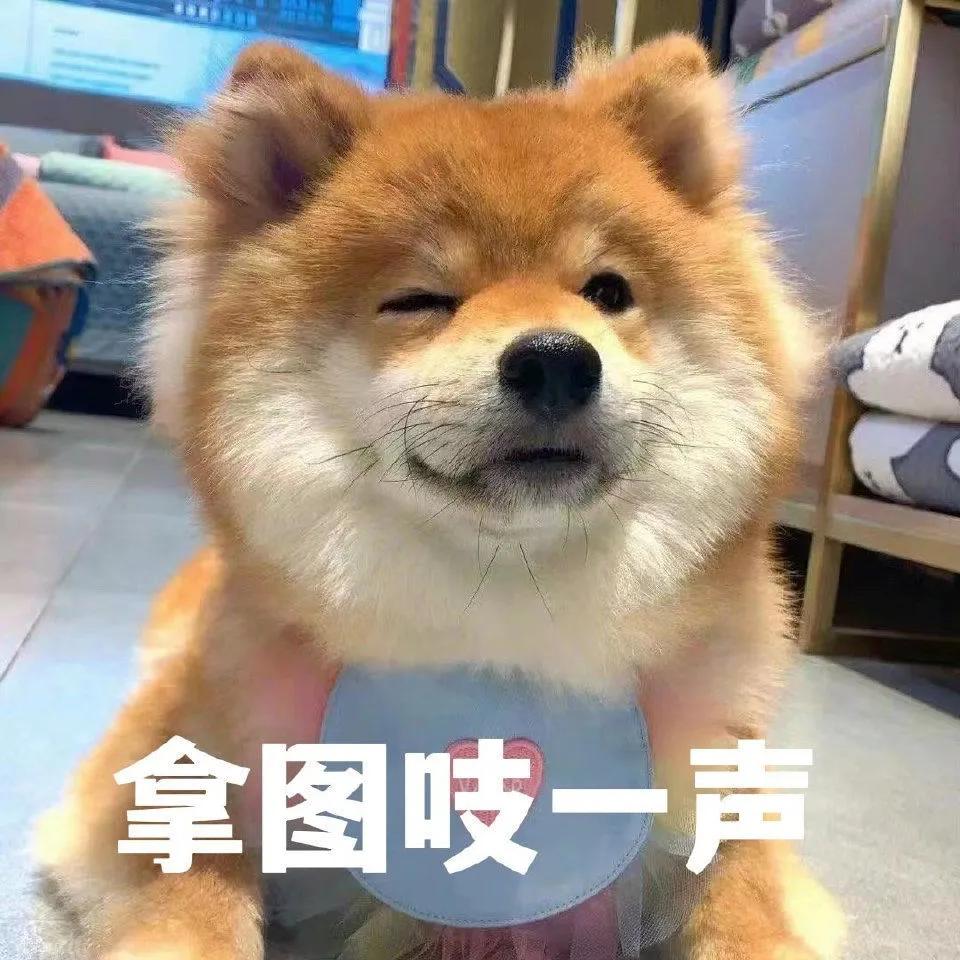 治愈系紫色手机壁纸,主屏和锁屏壁纸一对紫色