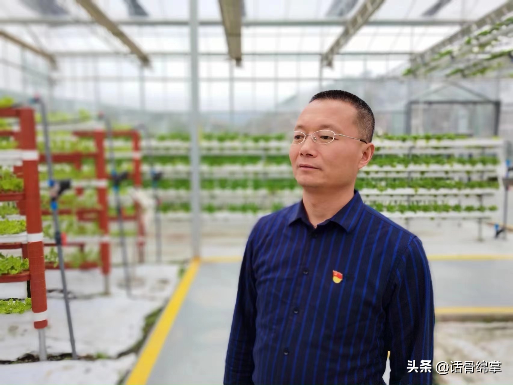 姹熸补骞虫鑱斿姩鍙戝睍,缁甸槼姹熸补鍗忓悓鍙戝睍