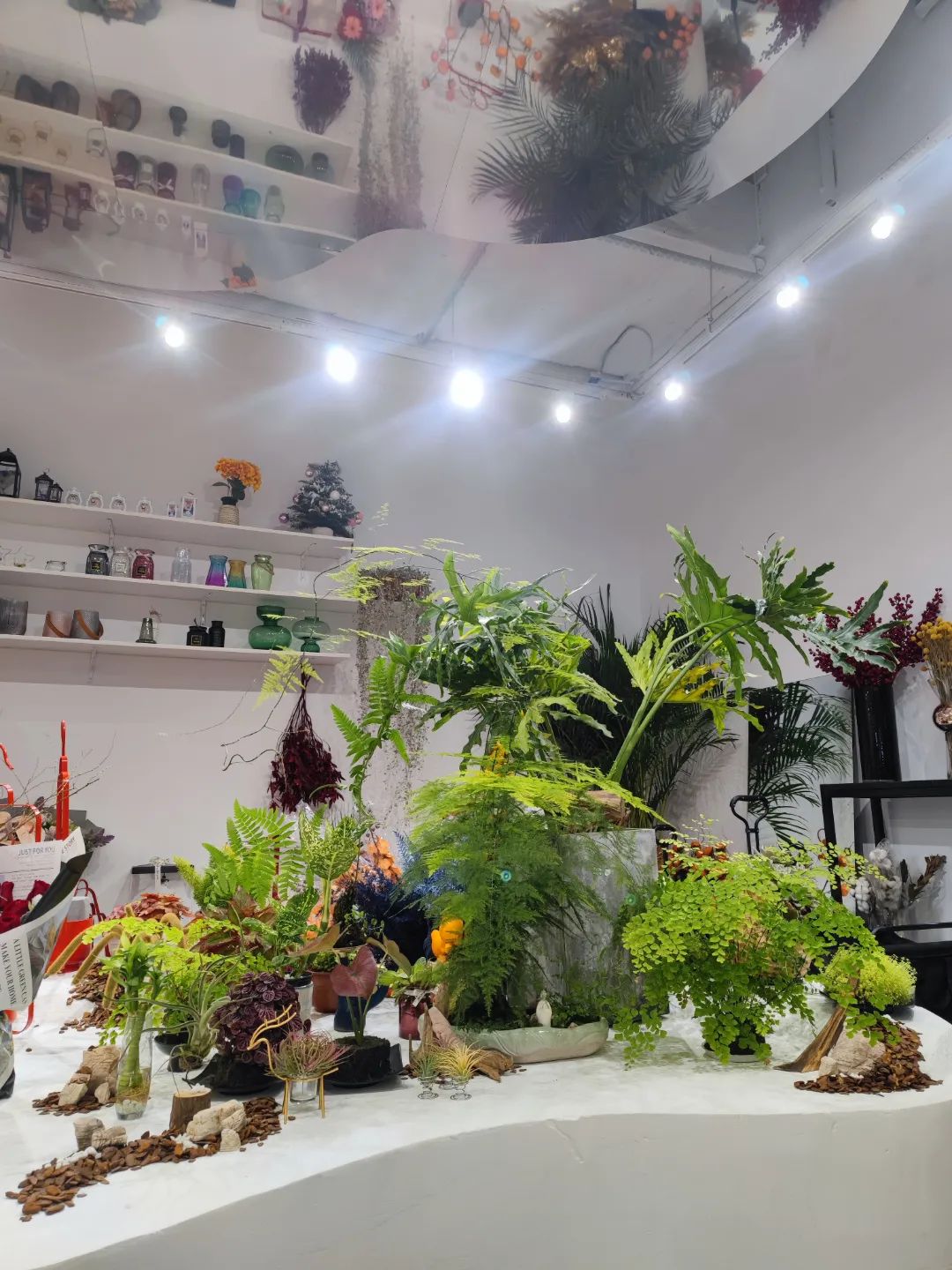 她只想回归自然，开花店却一年净利润50多万元——南宁小姐姐将理想照进了现实