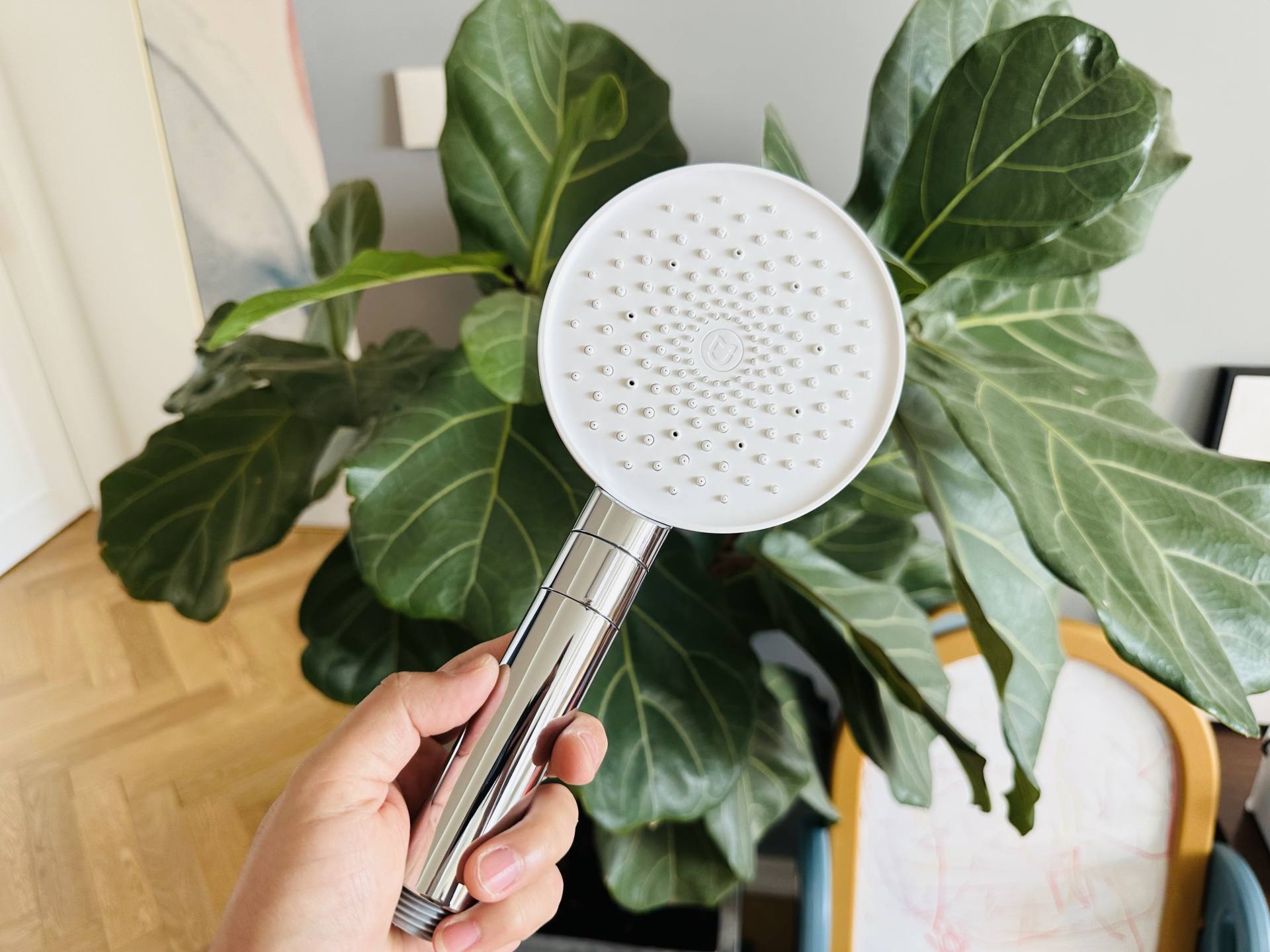 绫冲鎺ф俯娣嬫荡鑺辨磼s1璐ㄤ繚澶氫箙,绫冲娣嬫荡鑺辨磼s1鏄亽娓╄姳娲掑悧