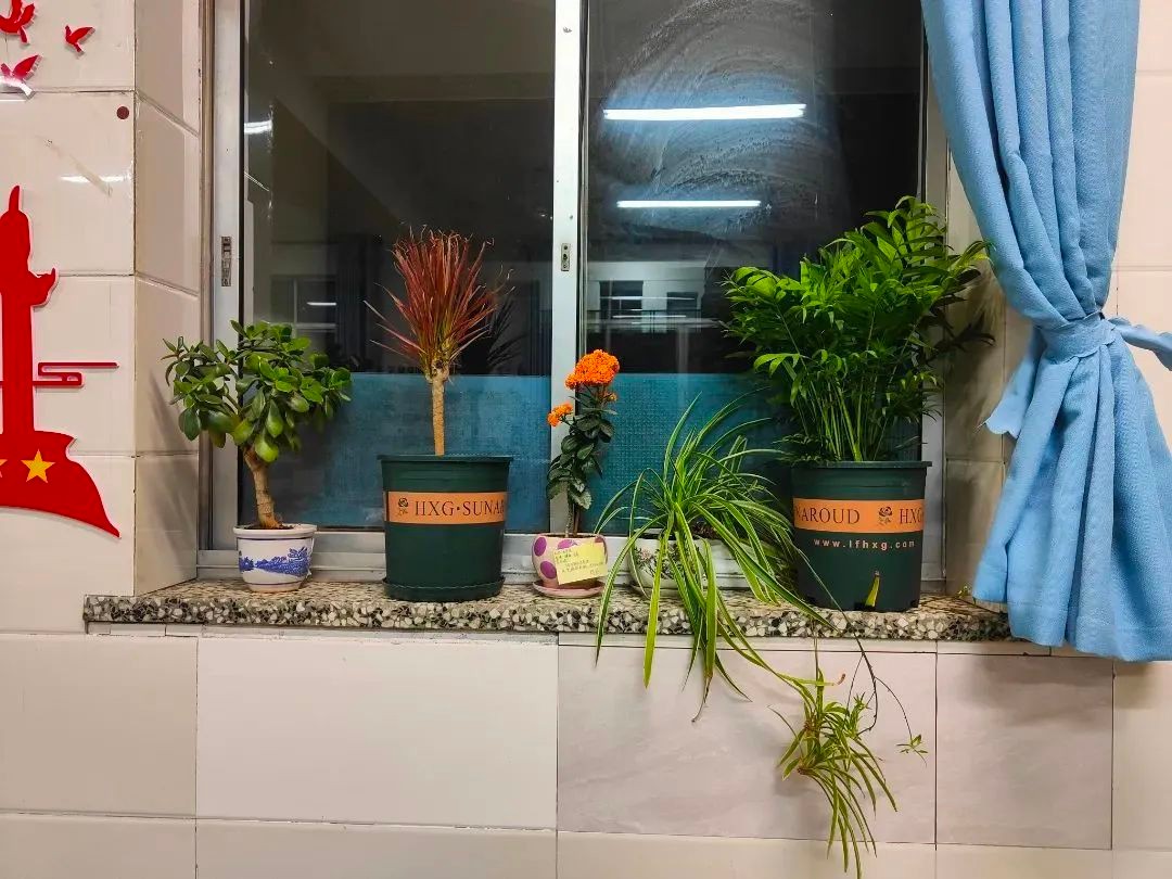 《班级公约》晒出来，班级风采秀出来——实验中学八7中队