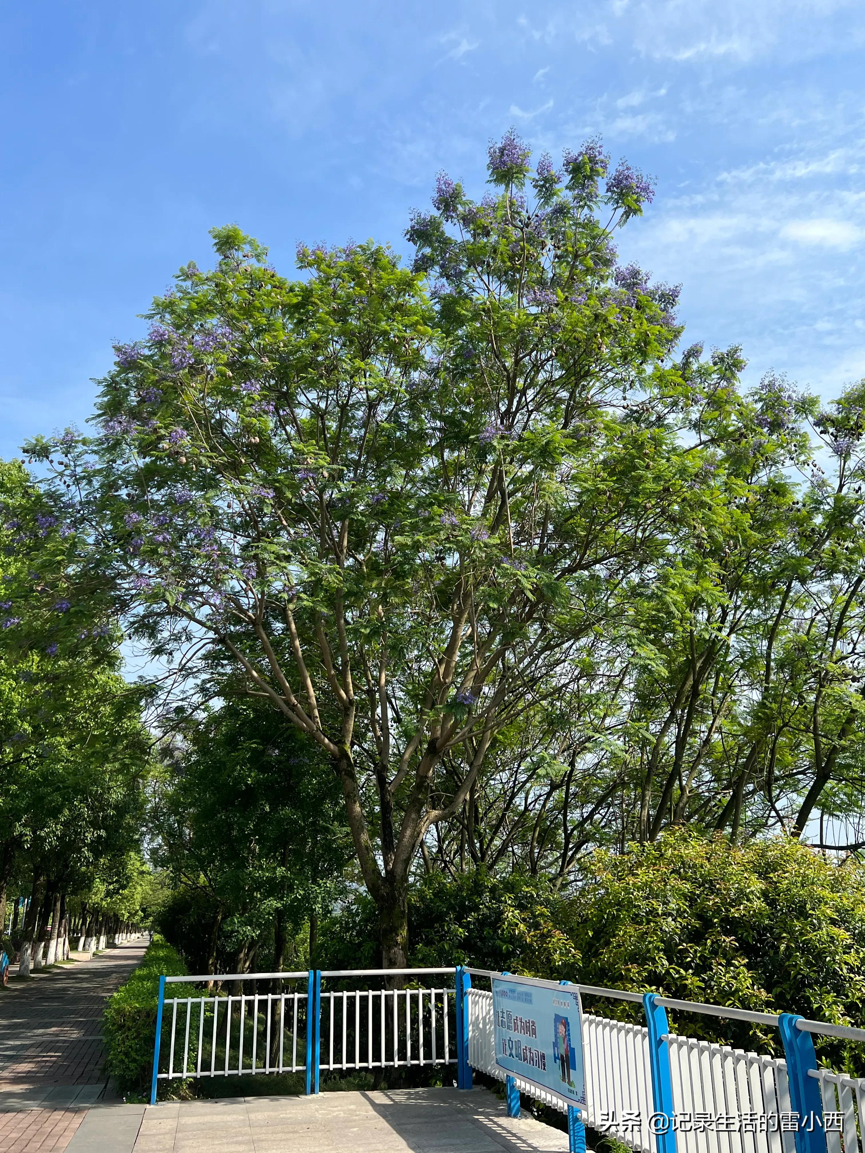 五一假期旅游冲突,和五一假期擦肩而过