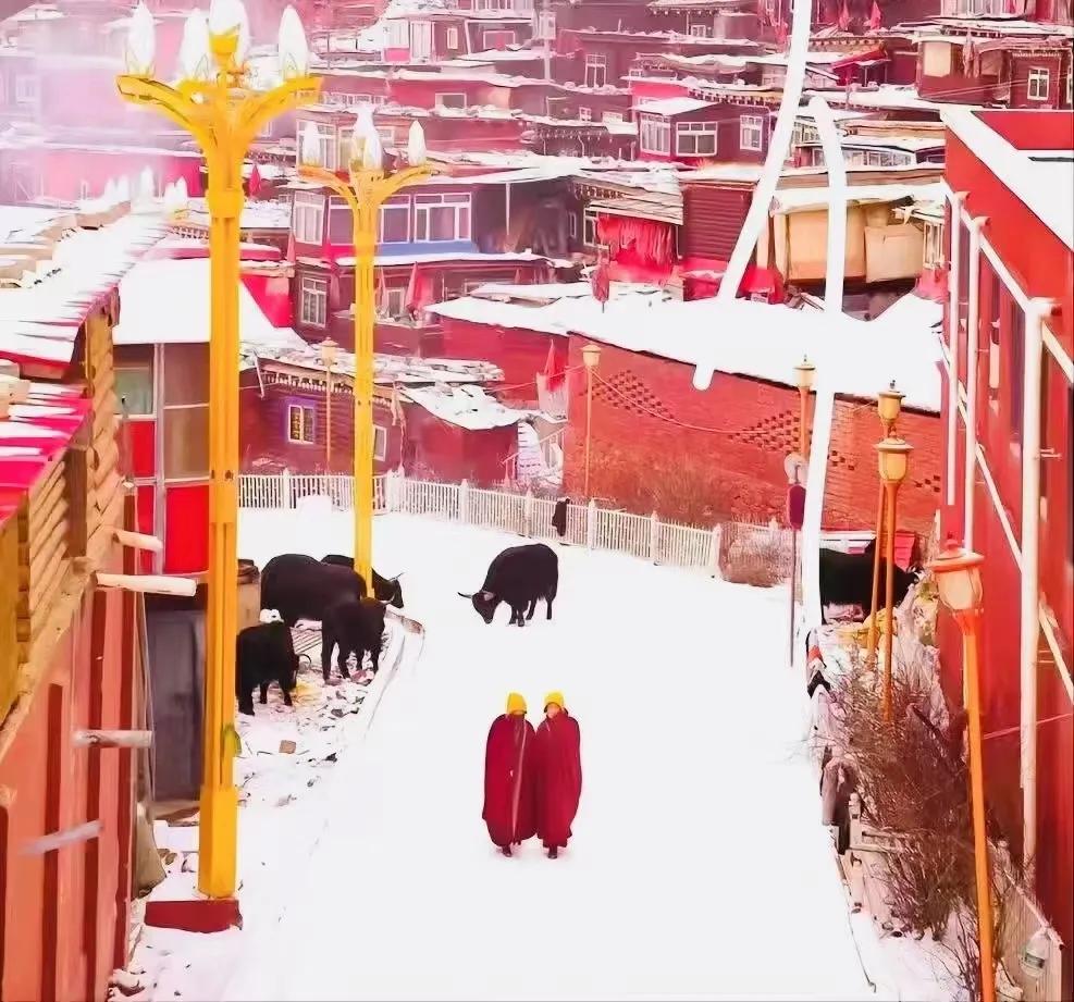 冬天色达美景,冬天的西藏色达