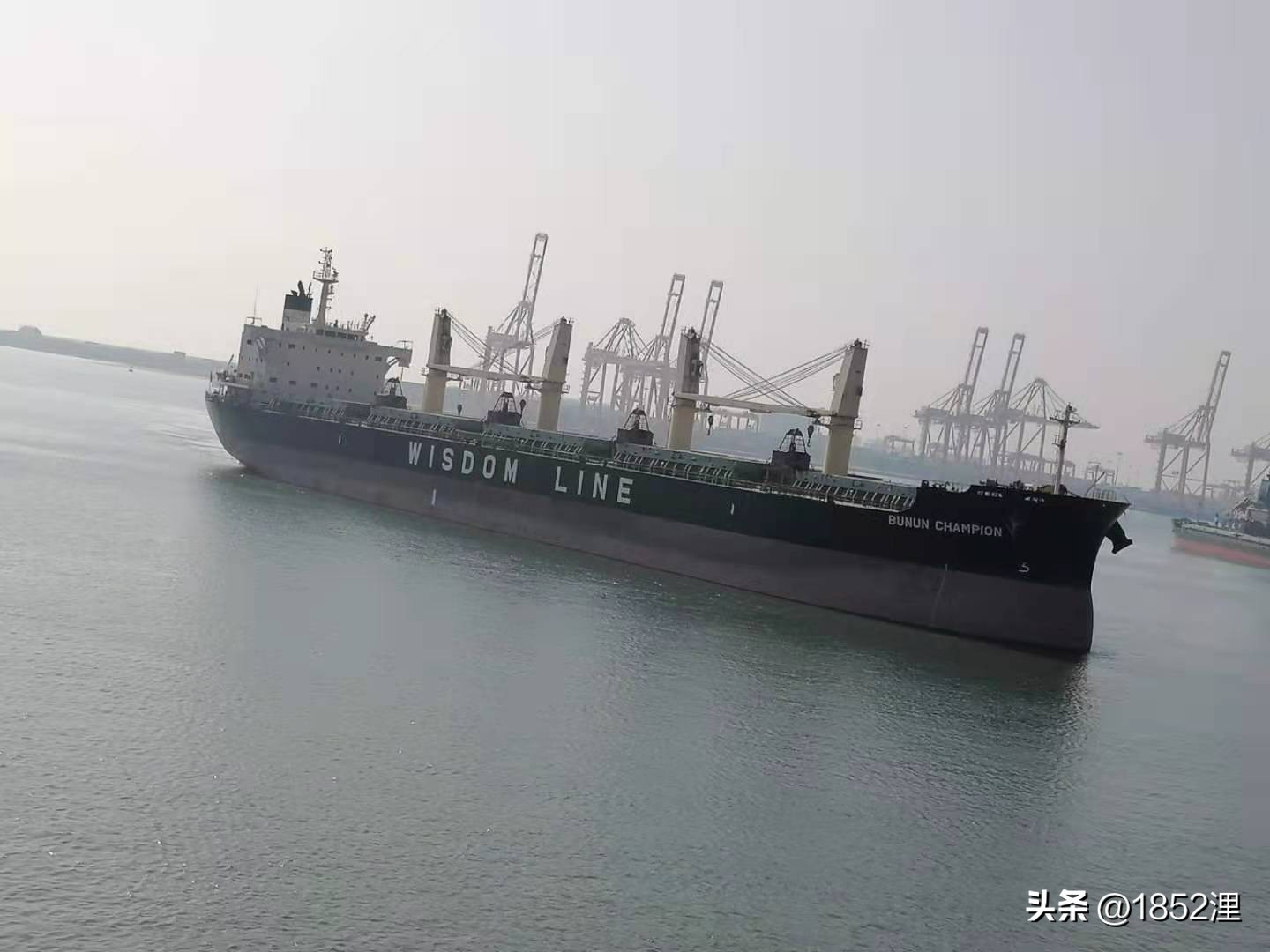 航运引航员,高级船舶引航员