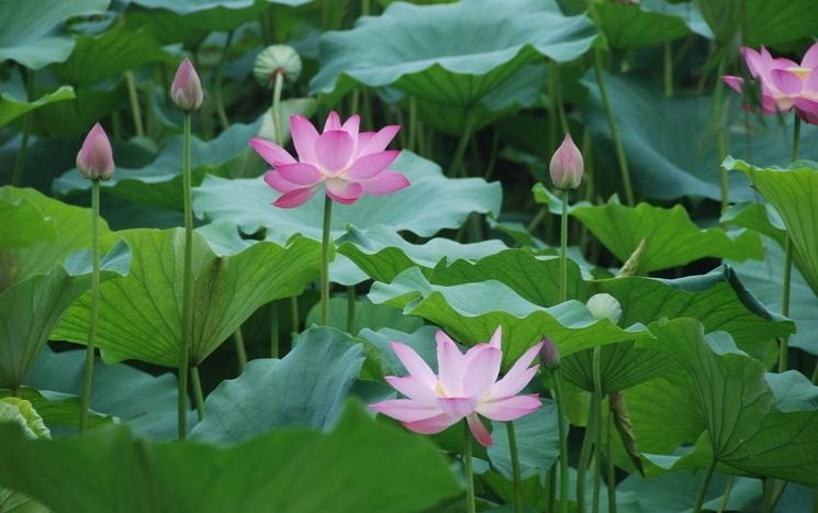 老娘的幸福从来都是自己给的,我的老娘