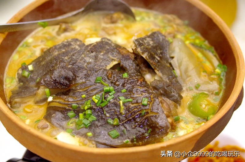 柳叶甲鱼村怎么样,柳叶村甲鱼