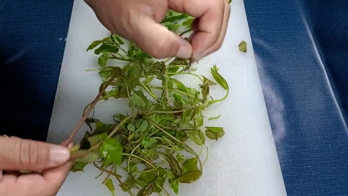 它才是“壮阳大户”，春天多吃它，男人强身健体，女人吃气色好