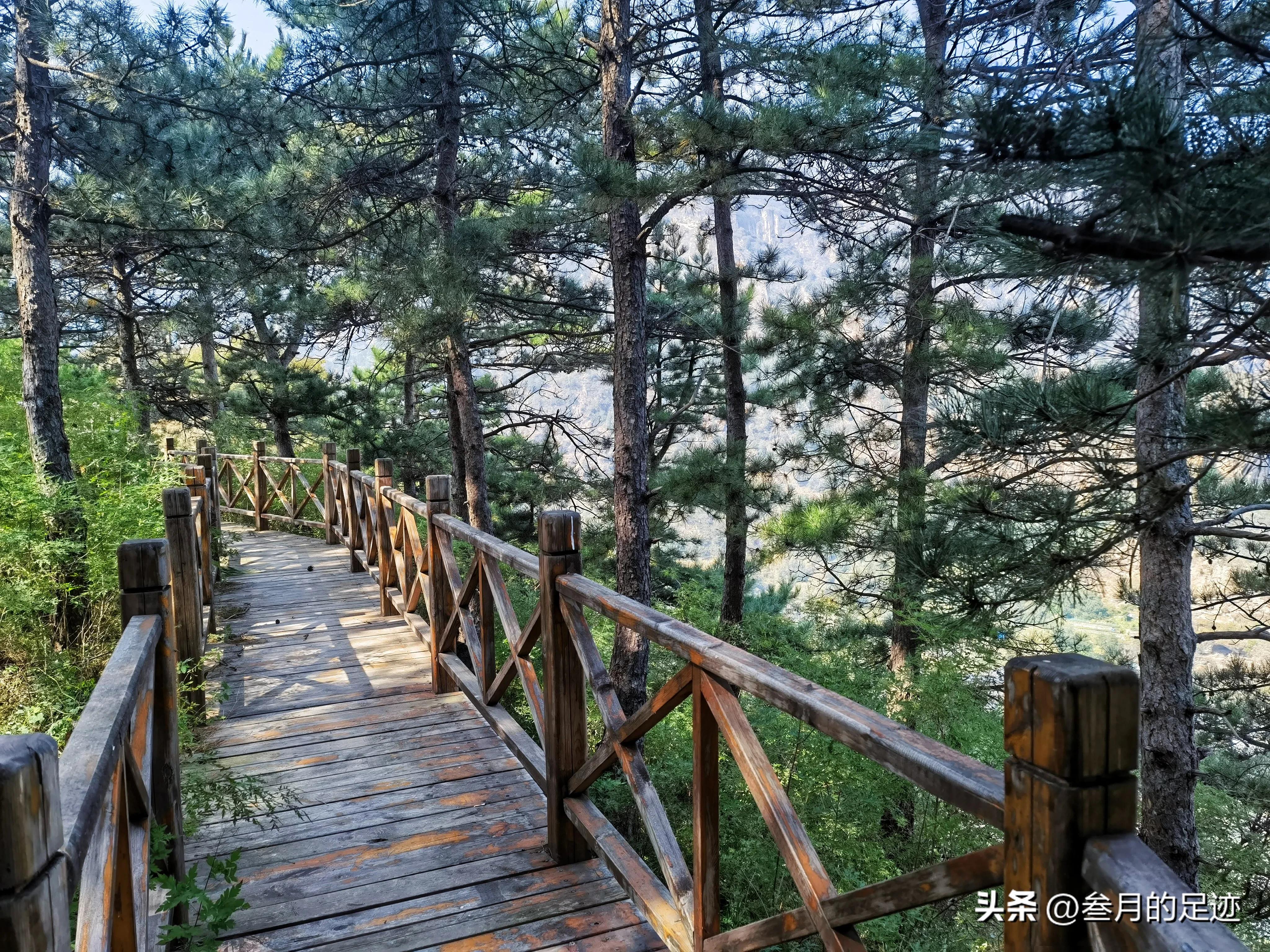 房山红叶最佳地点木栈道,北京房山森林游玩地方推荐