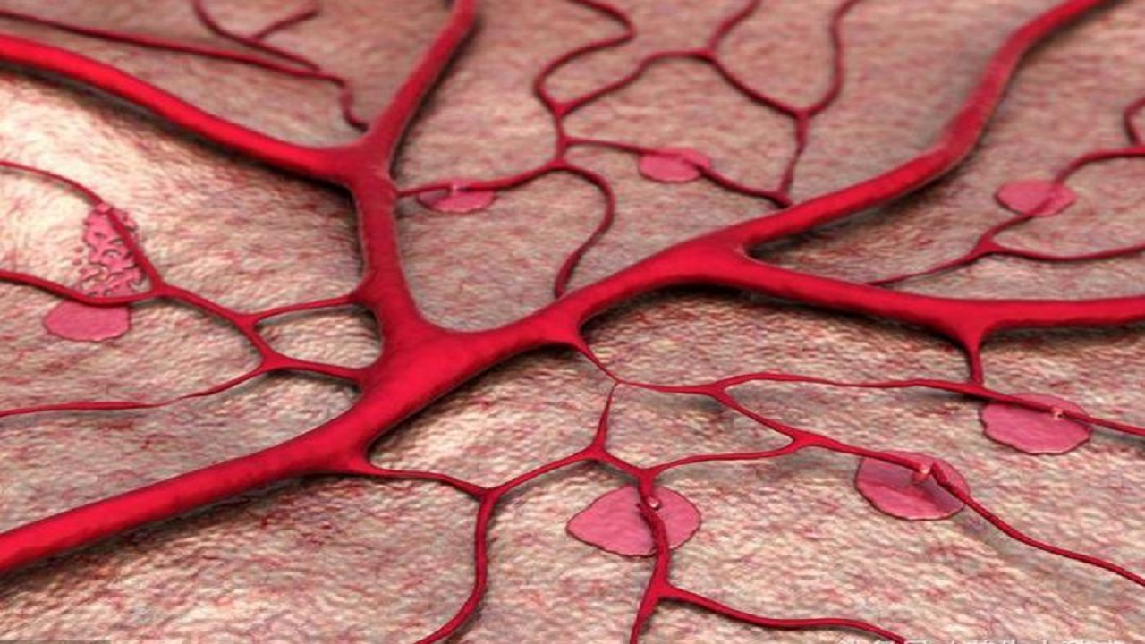 服用伟哥后停药后不如从前怎么办,对伟哥的抗药性通过停药会缓解吗