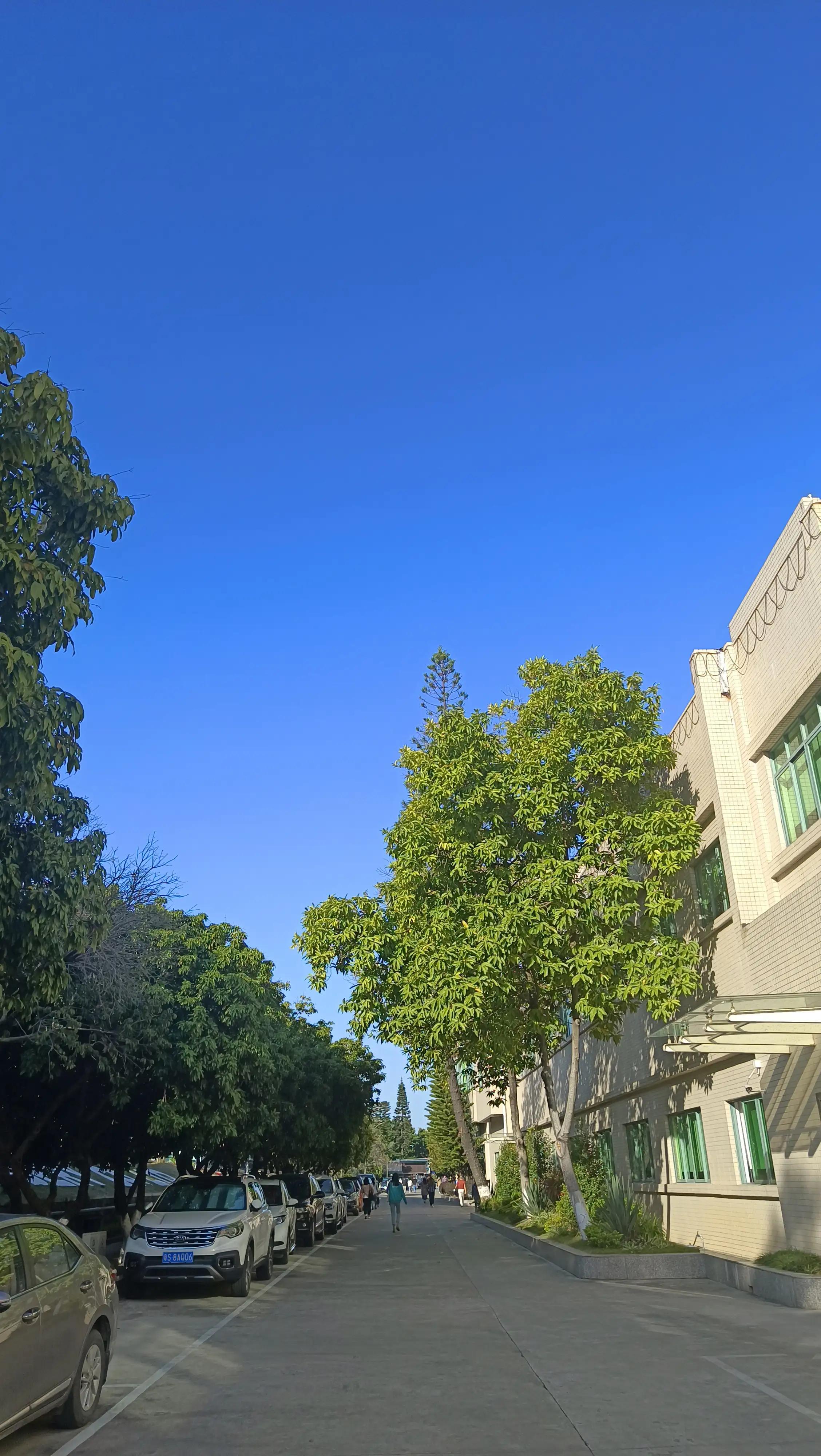 我的爱好日语作文200字,日语作文我的兴趣爱好是旅行