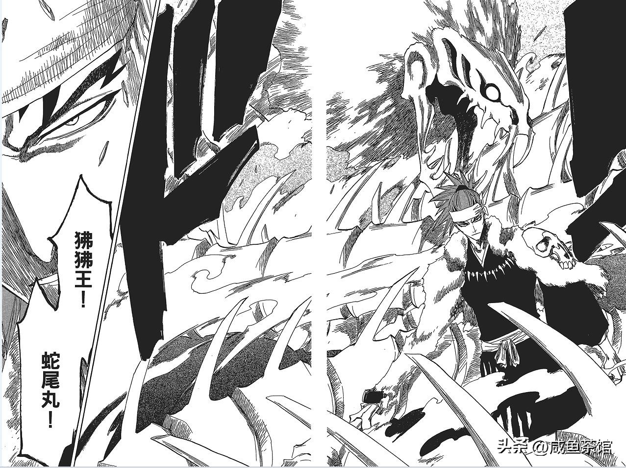 死神bleach副队长卍解合集,死神bleach护庭十番队副队长