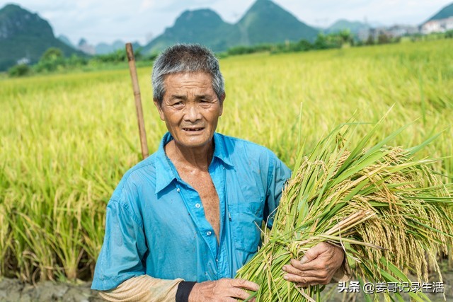 三农问题农业农村农民,三农问题只是具体的农业农村吗