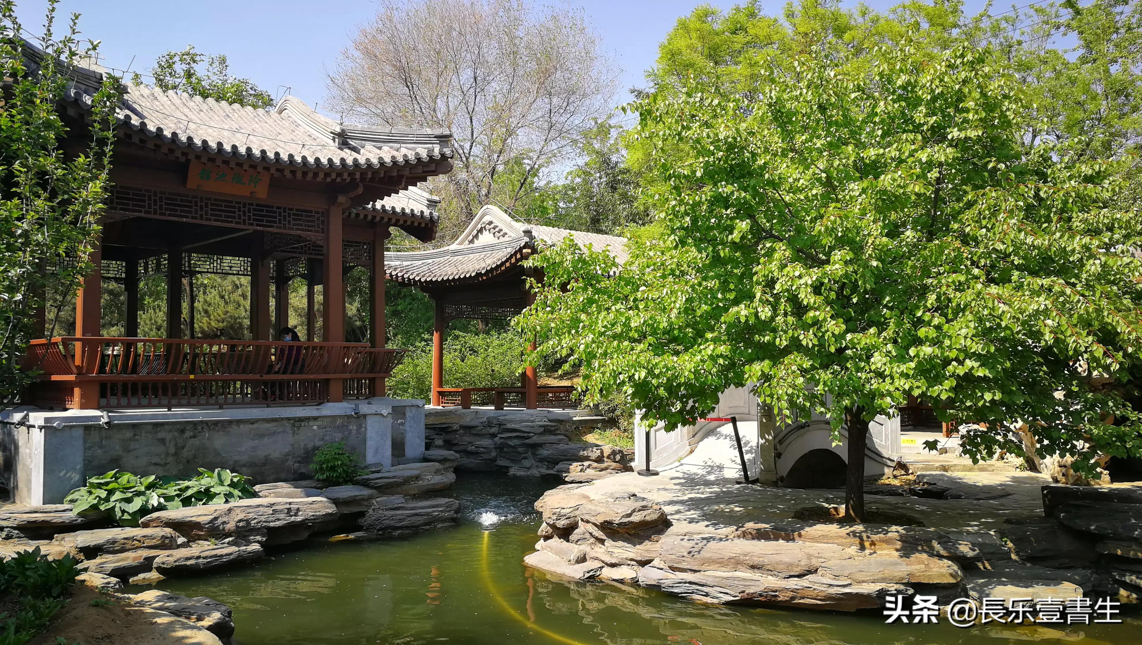 中国园林博物馆游览时间表,小众游玩强烈推荐北京园林博物馆