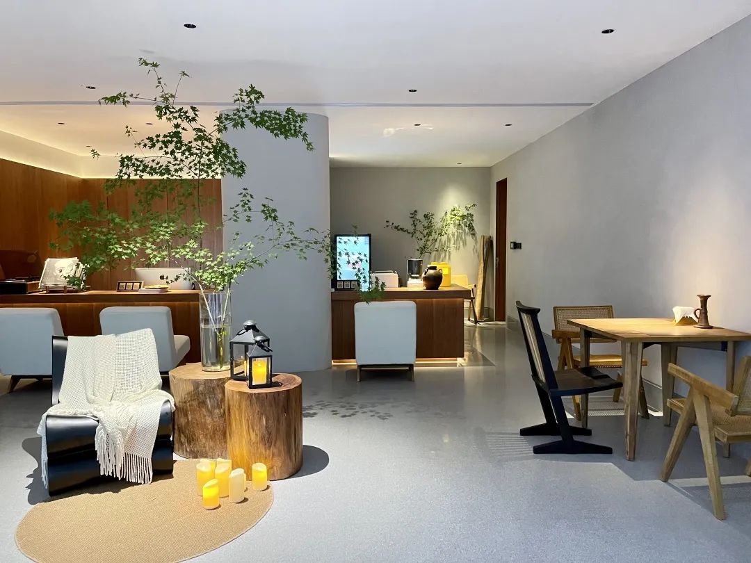 美出新高度再出新辉煌,美出新高度种草