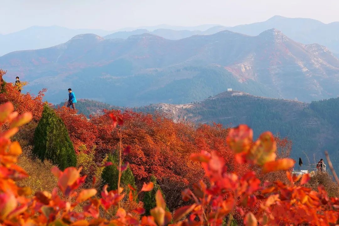 济南小众但是值得一去的地方,济南小众打卡圣地冬季