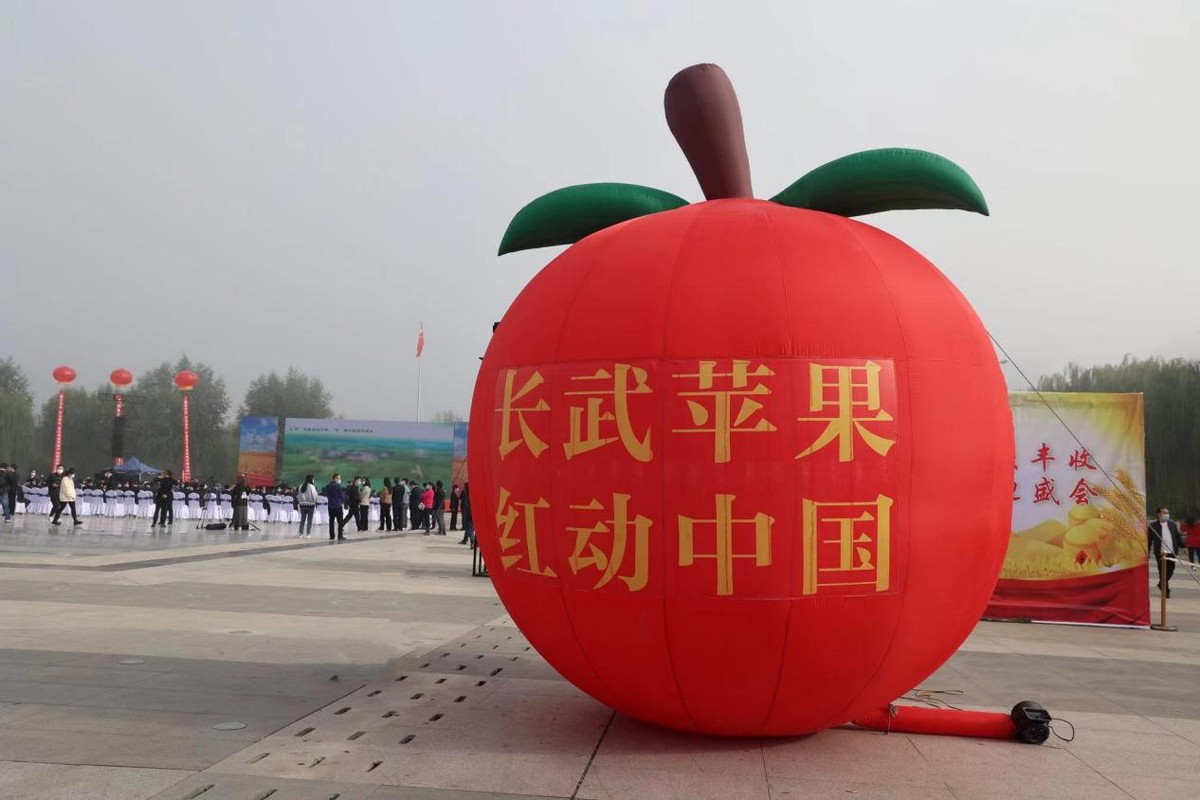 长武:多措并举打好果品宣传营销“组合拳”