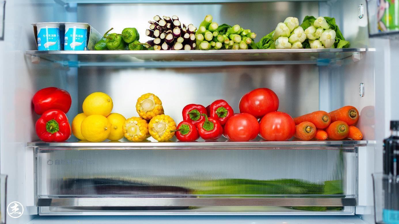 法式冰箱哪一款好用,最建议买的法式冰箱