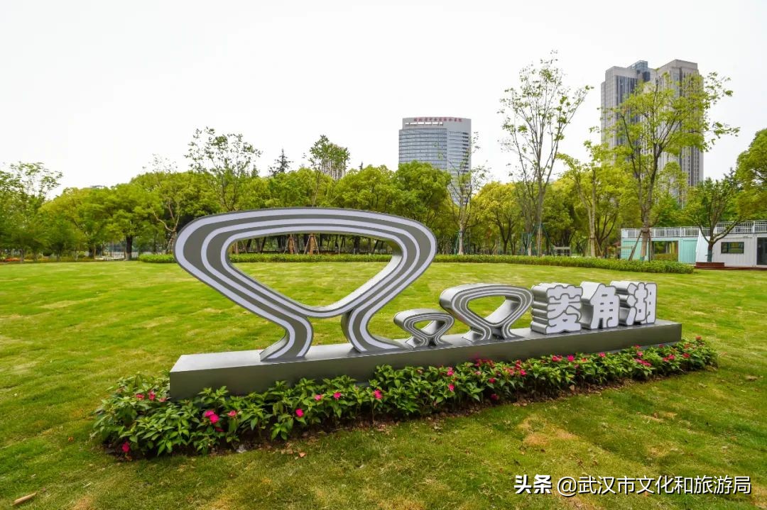 焕新乐园未来5年规划,湿地公园改造前后对比