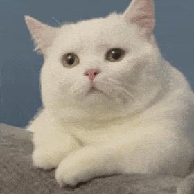 改一点赢很大？她整完鼻子直接美成断代神颜…