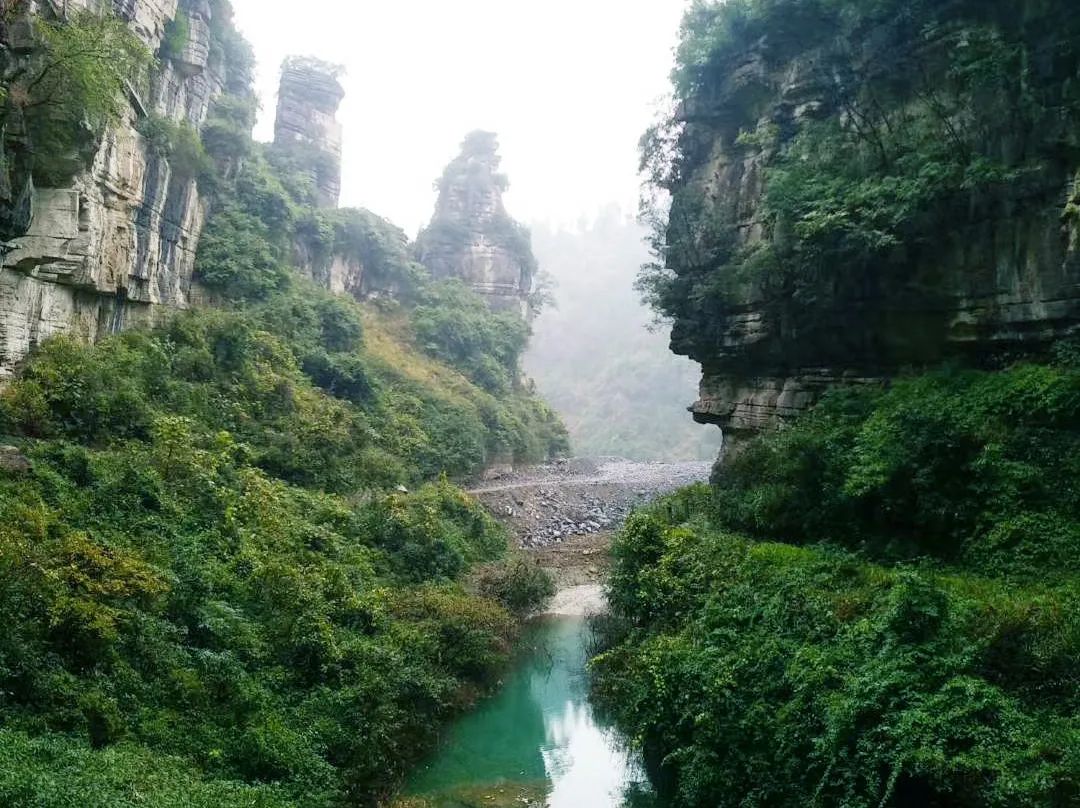 南川区金佛山旅游攻略,南川金佛山一日自驾游攻略