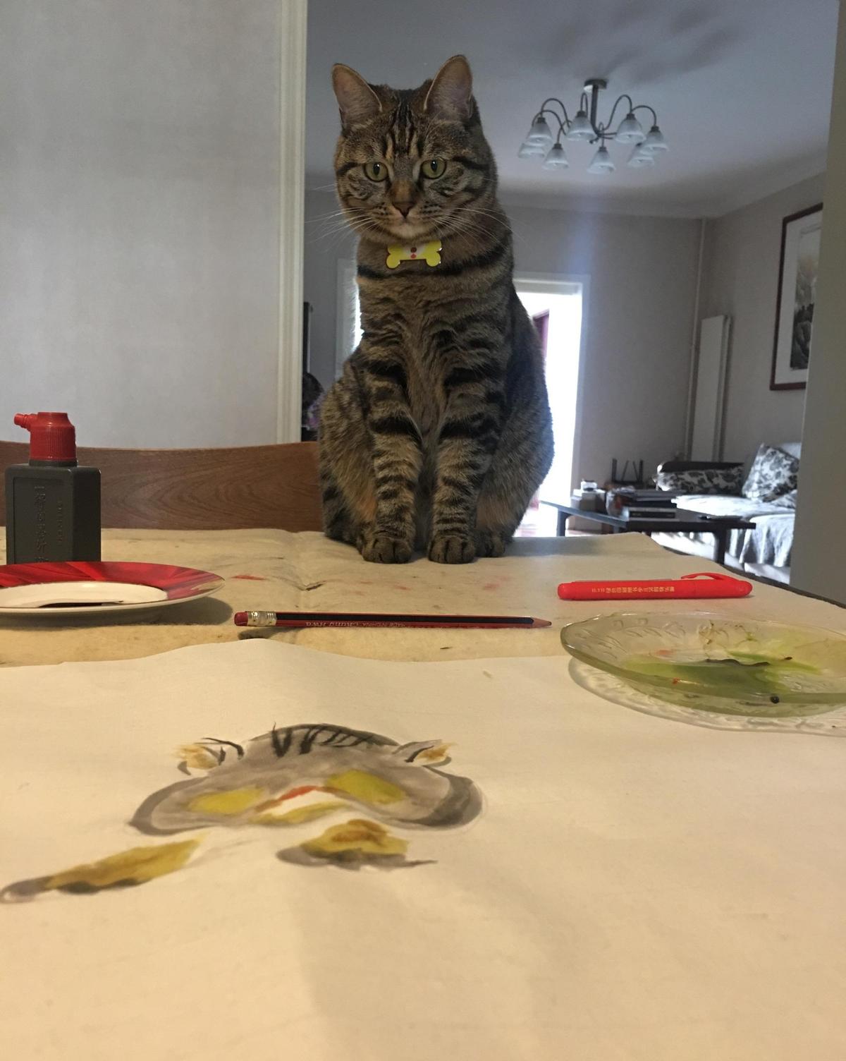 羞耻与痛苦：30张老照片记录纳粹强迫妇女脱衣的残忍场景！