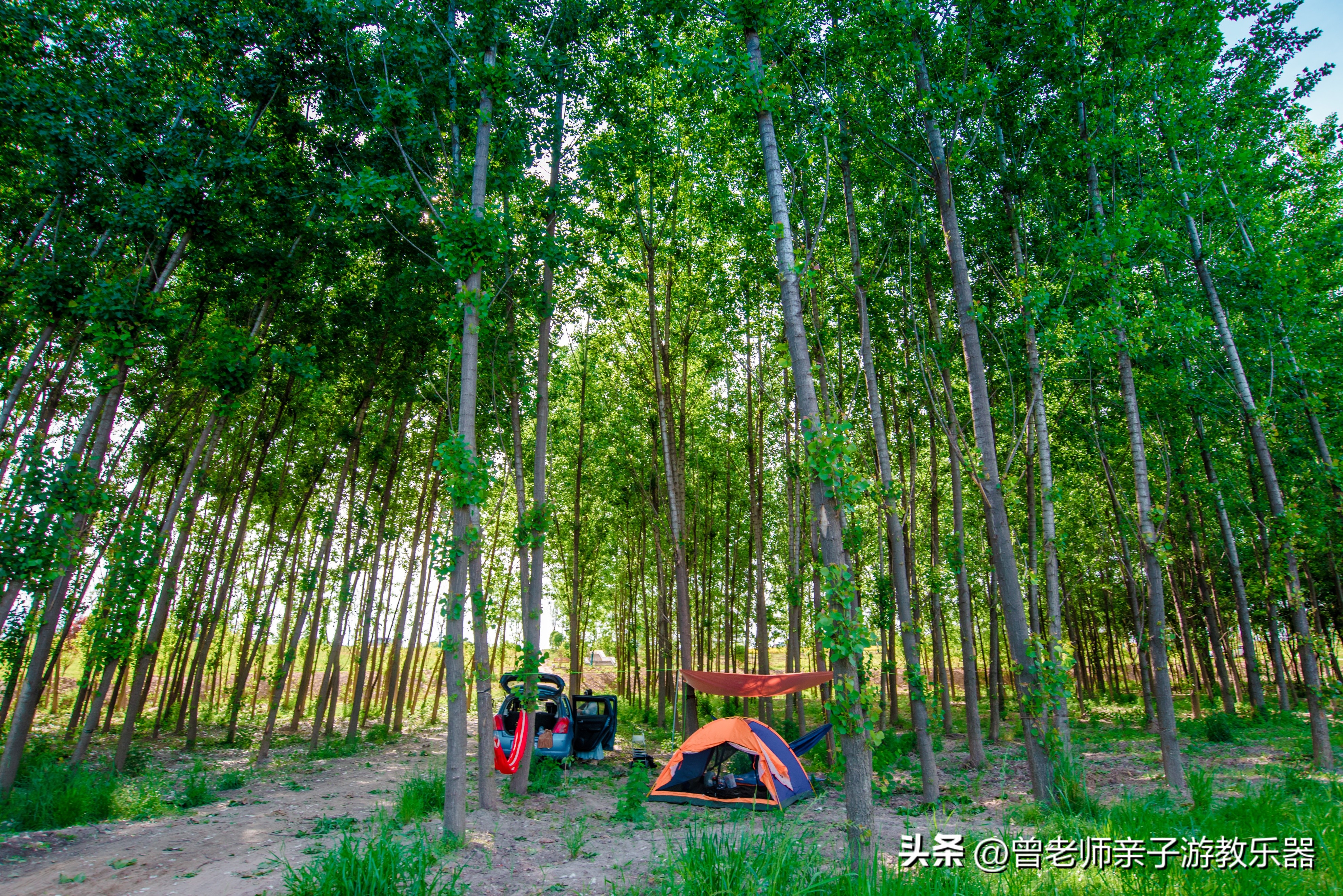 西安秋天野营免费地点,西安秋天露营地免费地点