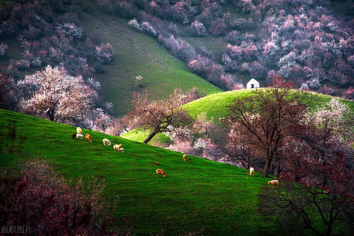 无边丝雨细如愁——40句经典诗词带您品味极致忧愁
