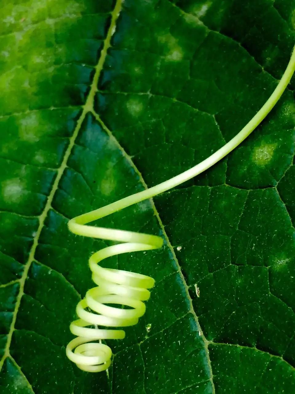 以留意练习增强静观，留意到愤怒，就更加有意识地觉察我在愤怒