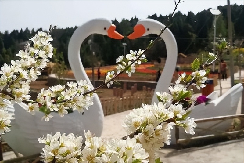 来农家乐的乐趣,来山水农家享受大自然的美景