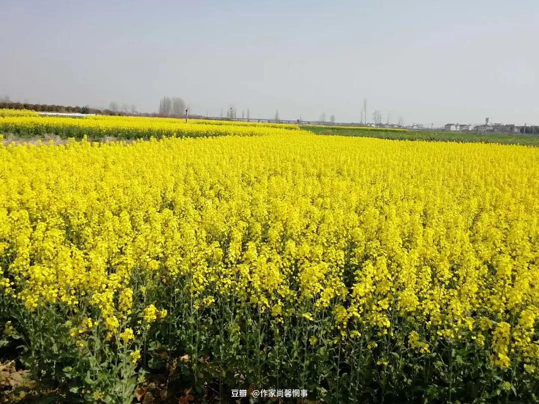 成都6日逛吃攻略,成都旅游3-4天攻略最佳美食