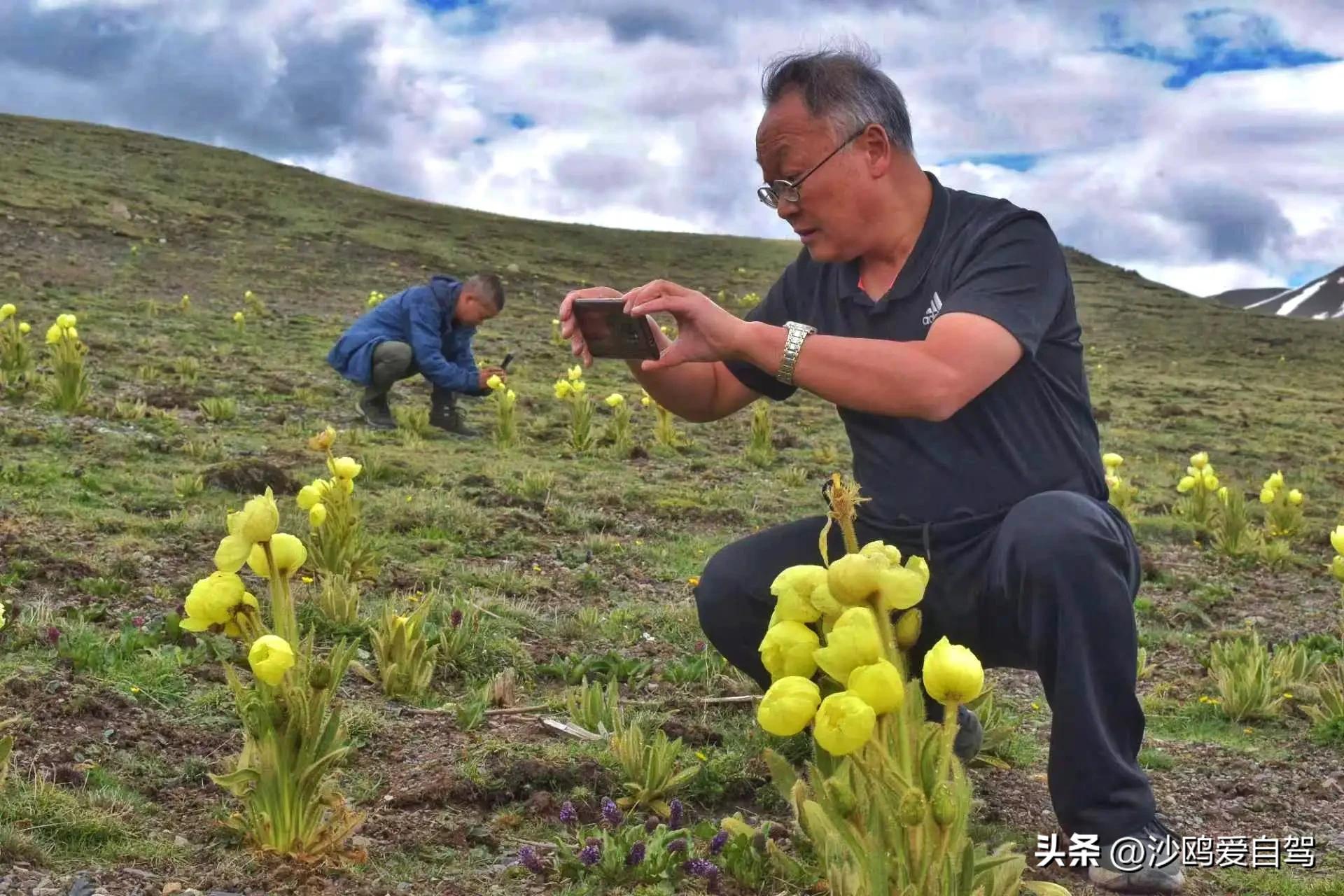 西藏自驾游三大圣湖,自驾西藏行摄之旅米堆冰川