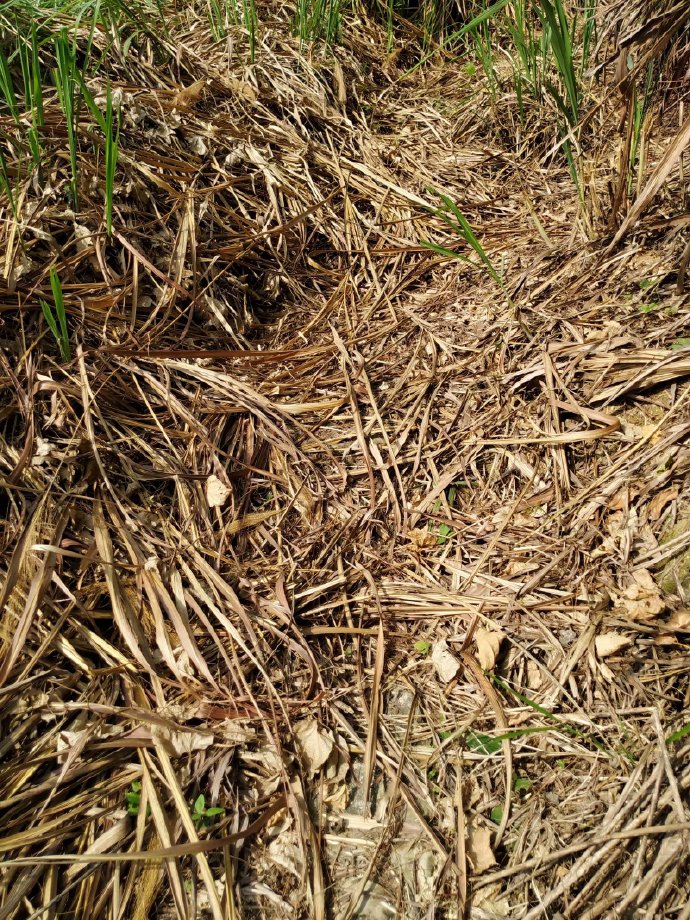 郴乐古道之水头江宜乐古道--广东省乐昌市庆云镇