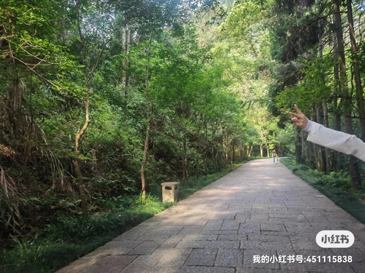 武夷山三天两夜旅游攻略导游,武夷山三天两夜旅游