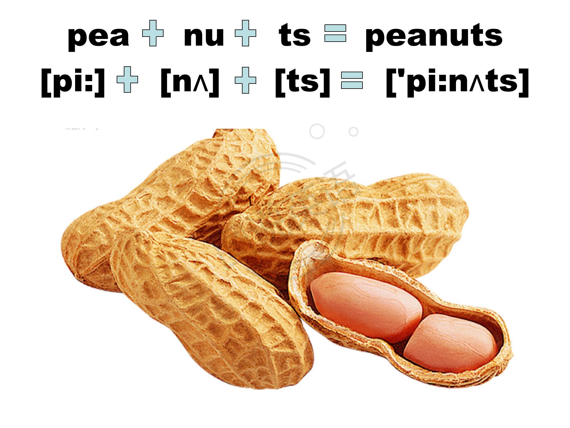 如何快速默写48个国际音标,音标背诵最快的方法
