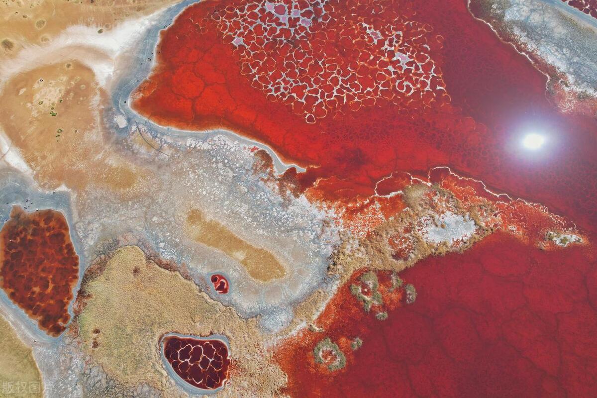 <html>
<head><title>502BadGateway</title></head>
<body>
<center><h1>502BadGateway</h1></center>
<hr><center>nginx</center>
</body>
</html>
<!--apaddingtodisableMSIEandChromefriendlyerrorpage-->
<!--apaddingtodisableMSIEandChromefriendlyerrorpage-->
<!--apaddingtodisableMSIEandChromefriendlyerrorpage-->
<!--apaddingtodisableMSIEandChromefriendlyerrorpage-->
<!--apaddingtodisableMSIEandChromefriendlyerrorpage-->
<!--apaddingtodisableMSIEandChromefriendlyerrorpage-->
