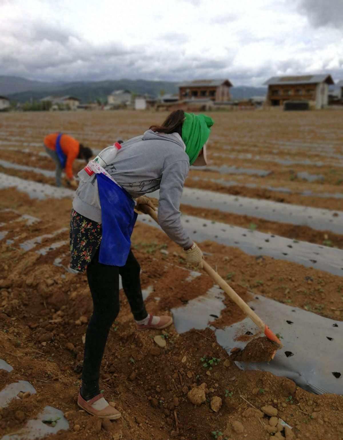 妻子忍受不了家暴最终选择了反抗,妻子忍受不了丈夫的家暴开始反击
