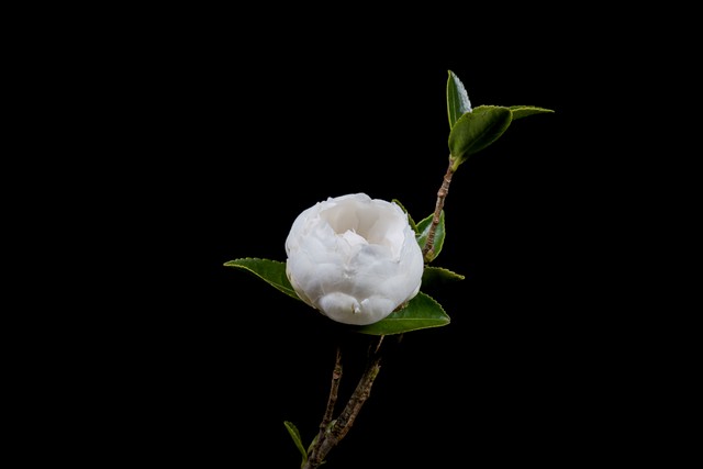 赚钱是最好的修行,赚钱是修行的最高境界吗