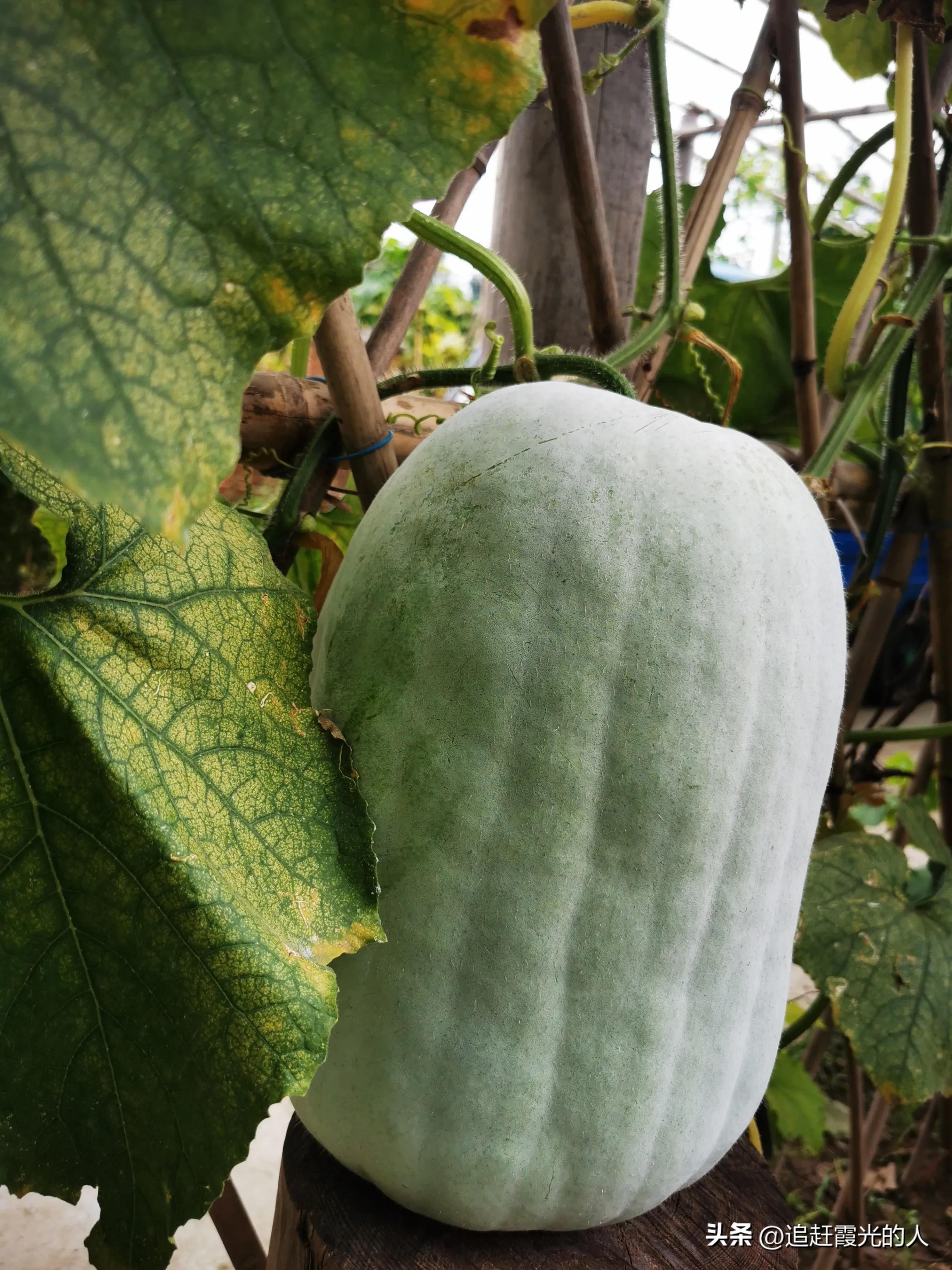 在哪里能租到北京的农家小院,北京哪里可以租农村小院