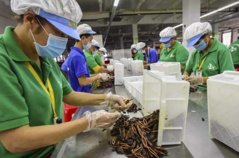 槟榔大王真实身份,湖南槟榔大王是谁