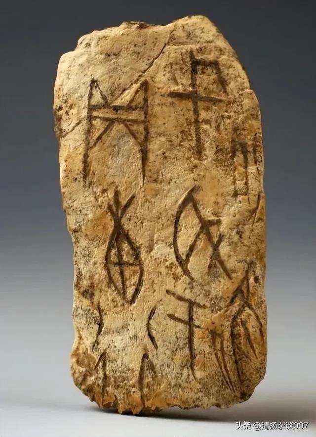 中华田园猫的品种介绍和图片大全,中华田园猫的眼睛是什么颜色的