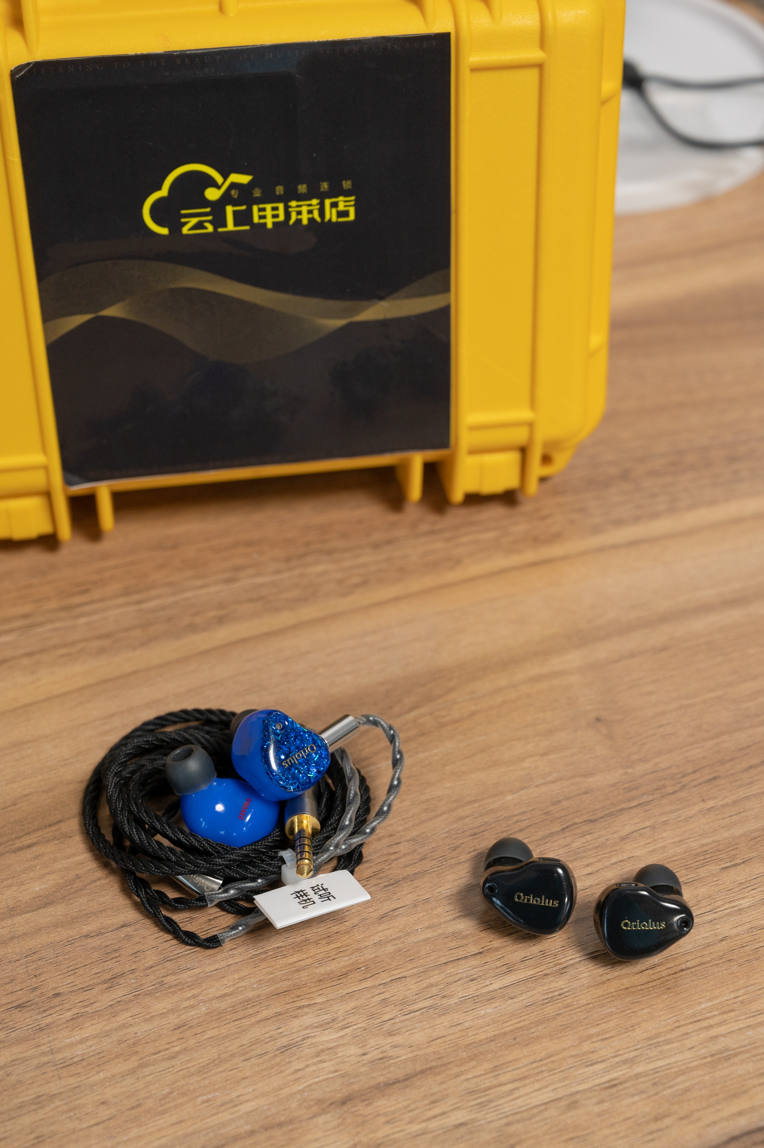 陪了我四年的黑黄鹂，是时候该说再见了