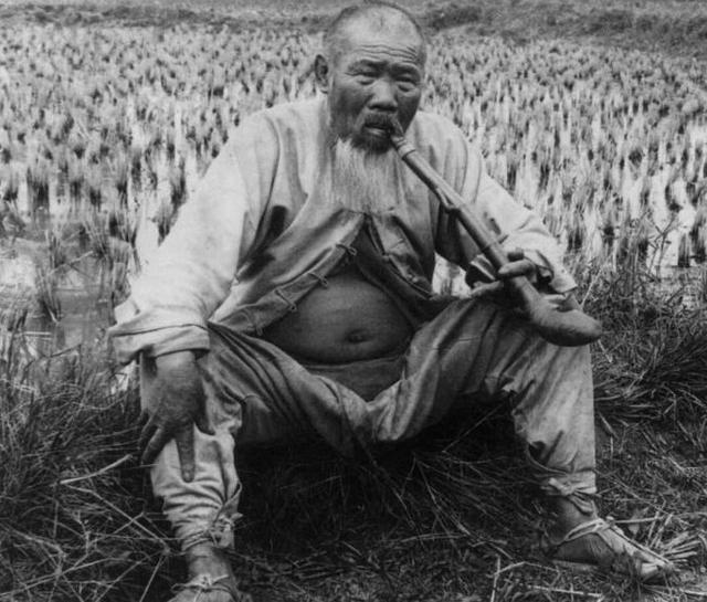 街头出现会写诗的“狗熊”，真相泯灭人性：此非熊而是人