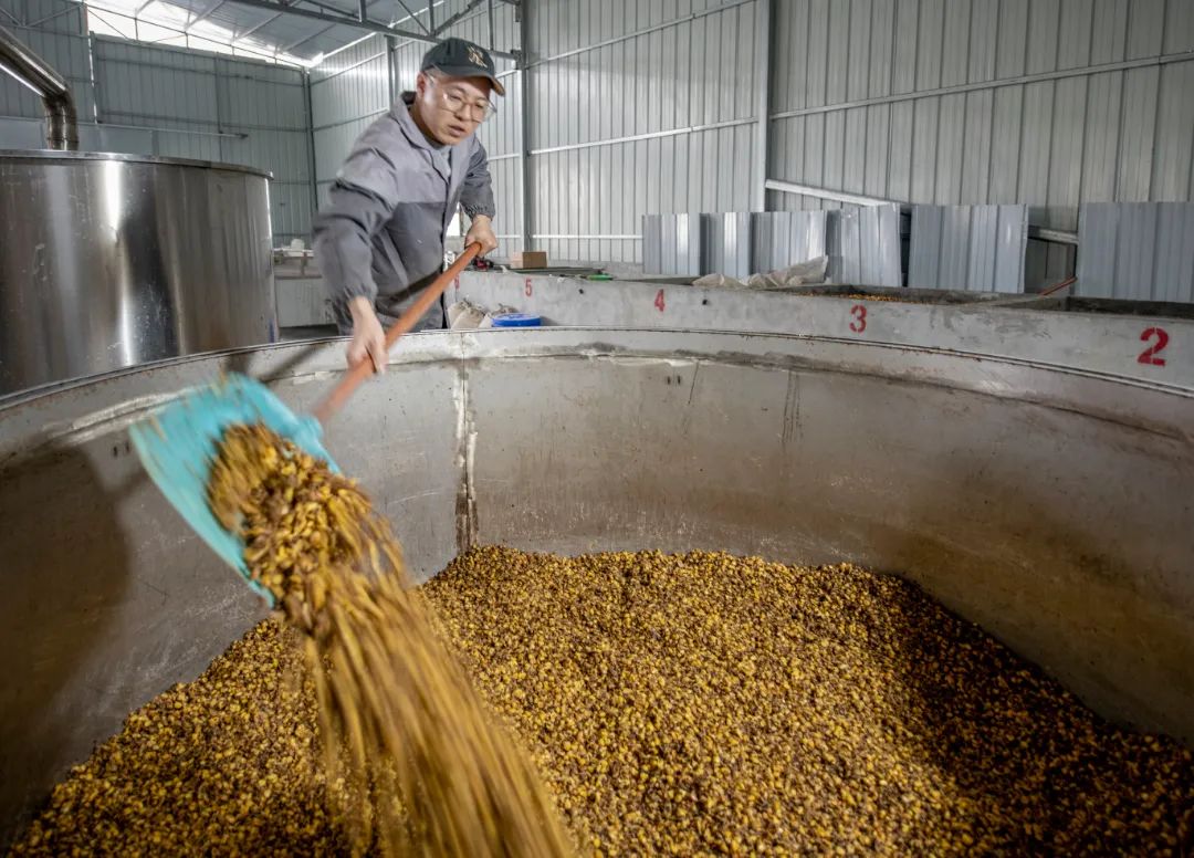 乡村振兴汶川县,我眼中的乡村振兴创业青年