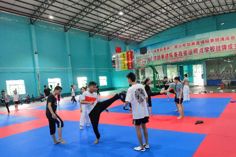 鼎湖人,肇庆市鼎湖人口